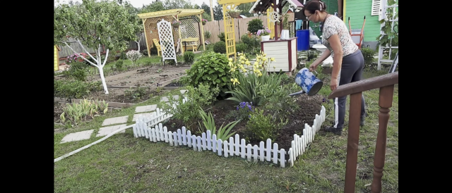 6 соток 11 июня 2024 года. Хроника.