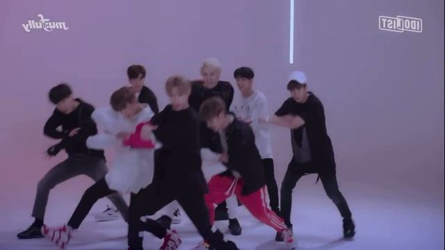Stray kids MIROH dance practice mirrored