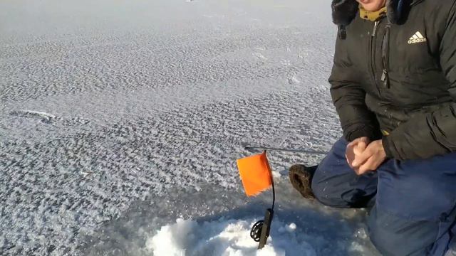 Как Ловить Щуку на Жерлицы Зимой. Как правильно ставить жерлицы в мороз! Вышел на рыбалку в -20