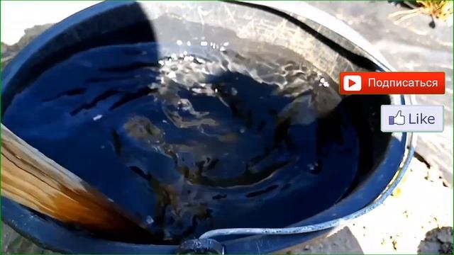 Как удобрять клубнику после пересадки