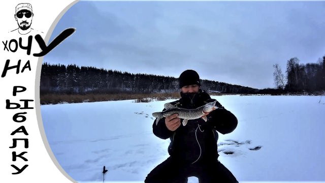 ЭТО НЕ ЯКУТИЯ, ДЕТКА? первый лед 20.11.20. щука на балансир