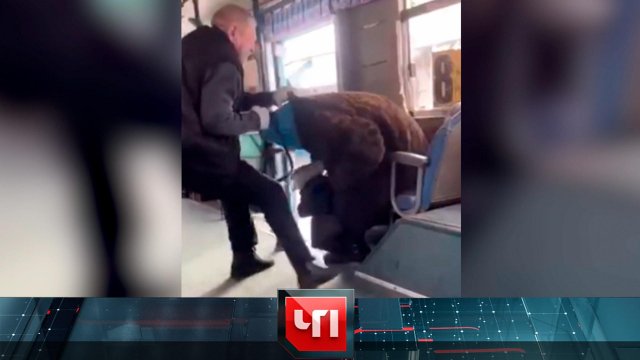 «ЧП»: 3 марта 2023 года | «Чрезвычайное происшествие» на НТВ