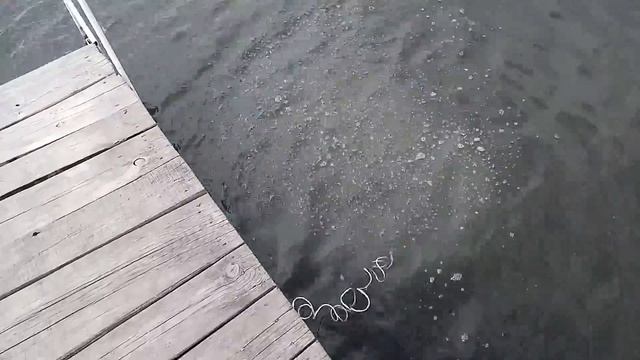 Самодельная ловушка для рыбы и рака  катиска и крылан.