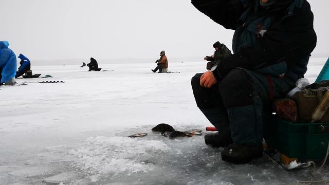 Ловля окуня зимой  Как раскачать свою лунку для ловли окуня