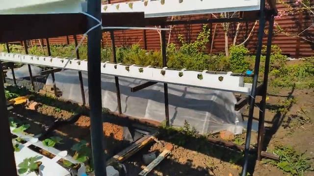 Малообъемка для клубники часть 3 полив