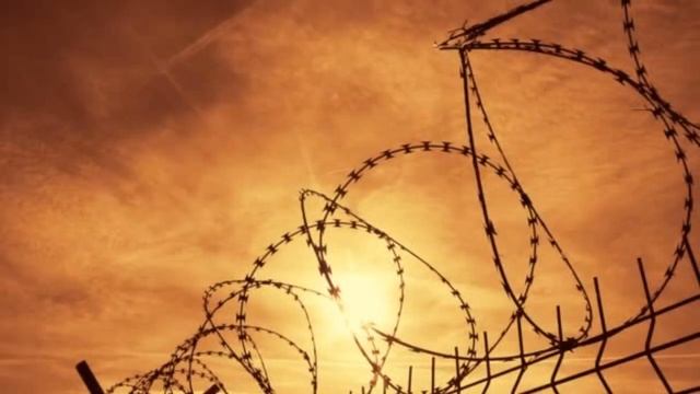 ★★★Голуби летят над нашей зоной★★★