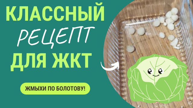 Чудо рецепт для здоровья! После него забудешь о проблемах с ЖКТ. Просто, доступно, эффективно!