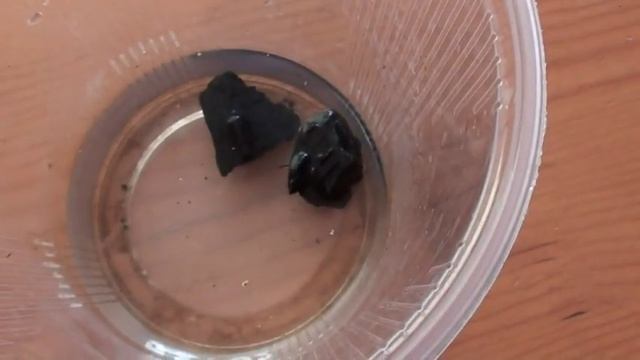 укоренение инжира, размножение инжира черенками