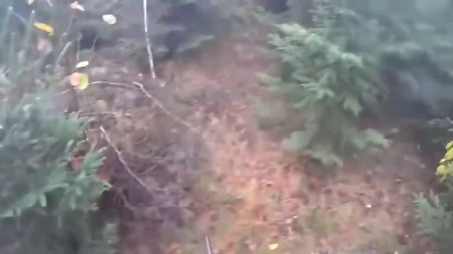 5 ОЧЕНЬ ОПАСНЫХ АТАК КАБАНА НА ОХОТНИКА!!! ШОК!