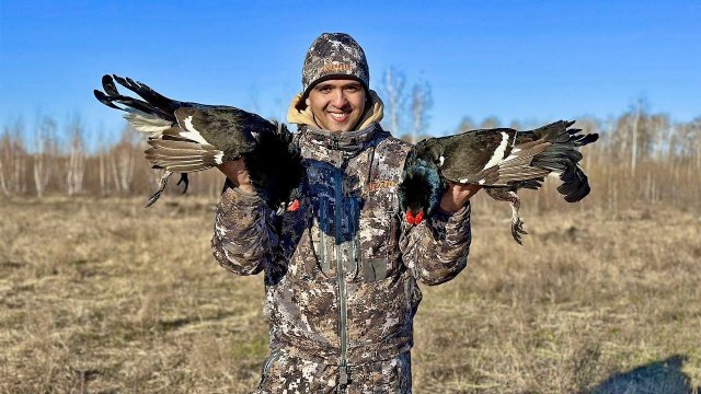 Весенняя охота на тетеревином току | Вся красота весеннего тока!