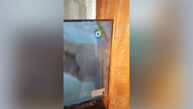 Телевизор Haier 32 Smart TV S1 Обзор. Плюсы и минусы