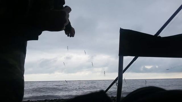 Фидер.Рыбалка на чёрном море,ставрида с берега на ставку-самодур.Снасть,оснастка.Май 2017 Адлер.
