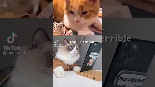 40 Min "That Little Puff" Tiktok Compilation