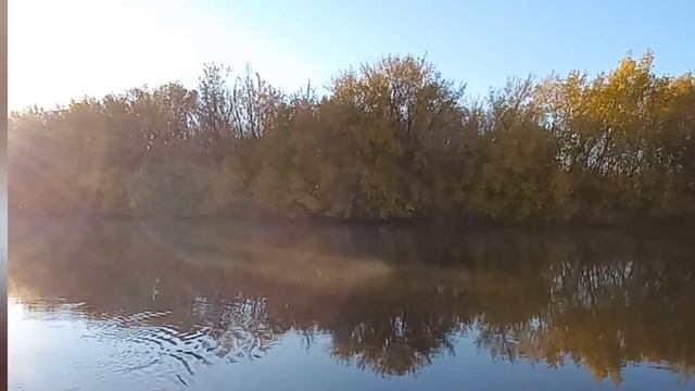 Ловля налима осенью. Поиск налимьих троп . 1 часть . Рыбалка 2021 . Налим 2021 .