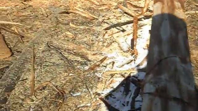 Рекомендации по сборке сруба в ласточкин хвост ( лапу )