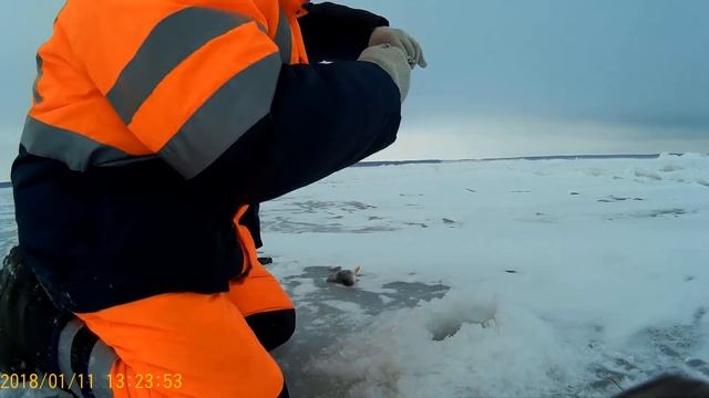 ТАКОГО ОКУНЯ Я ЕЩЁ НЕ ЛОВИЛ!ЛОВЛЯ ОКУНЯ ЗИМОЙ!ЛОВЛЯ ОКУНЯ НА БЛЕСНУ!ЛОВЛЯ ОКУНЯ НА БАЛАНСИР!