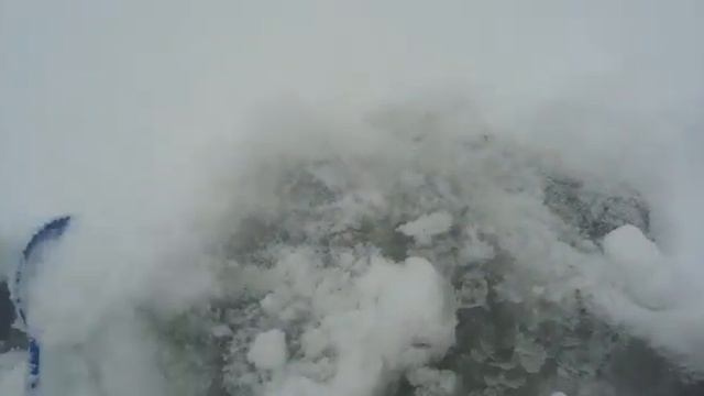 Подкармливаем карпа зимой (мотылем)