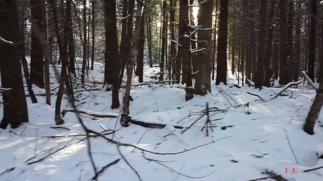 ❄ ЗИМА | Время года "ЗИМА" | Зимние месяцы. Развивающее видео для детей  | Зима видео