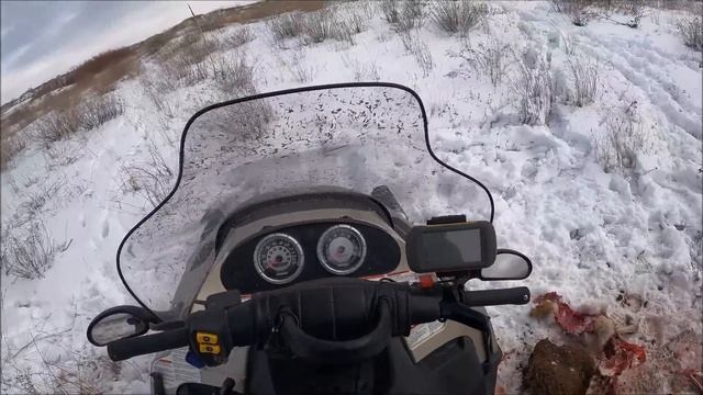 ПО ОСТАНКАМ КРАСНОКНИЖНЫХ. охота на волков hunting wolves