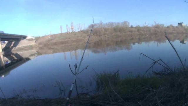 Рыбалка в Воронеже р.Дон ( Курский мост)