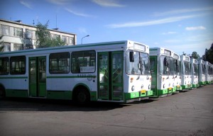 Предложение о запуске новых микроавтобусов