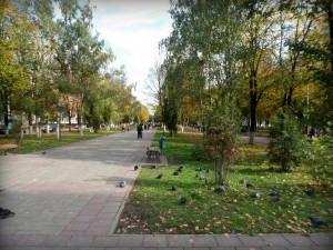 Голуби на людном бульваре Московского