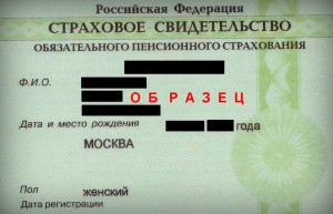 Где и как получить СНИЛС