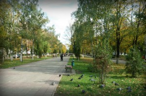 Благоустройство бульвара в первом микрорайоне города Московский Благоустройство бульвара в первом микрорайоне города Московский