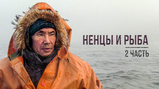 Ненцы и рыба. Промысел ряпушки на Крайнем Севере (2 часть) | С полем!