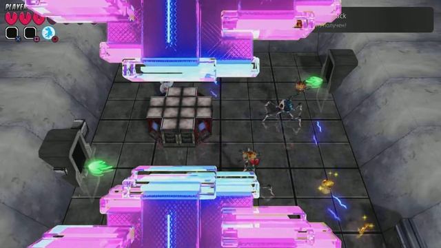 Bunny Raiders все трофеи