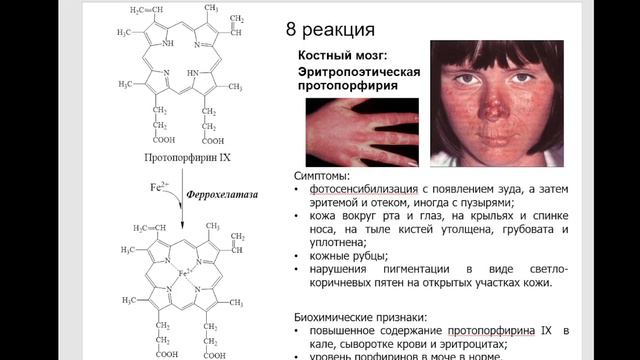 Частная биохимия. Клетки крови. Часть 2. 2023