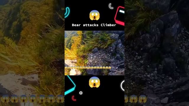 @animalslife.pro=e42aad.mp4