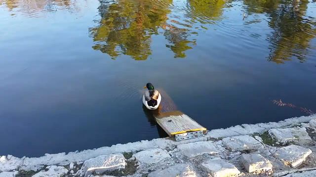 Sacramento. Land Park. Возле Зоопарка.