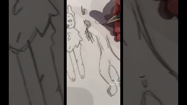 подборка из тт про бумажных собак ?