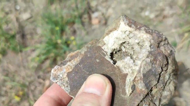 Отчёт о посадках Лесосада вдоль ручья в горах!