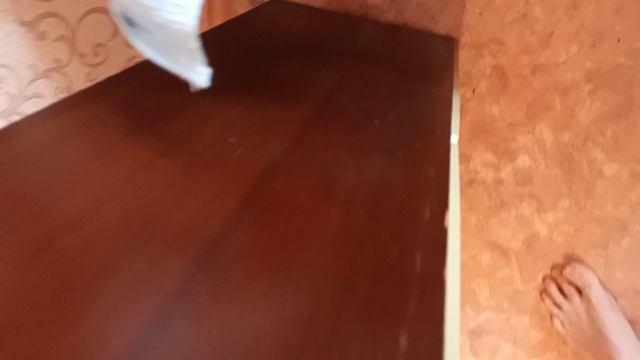 VID_20240127_112507.mp4