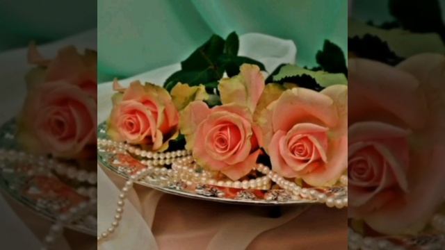 Сергей Пискун/алые розы???шансончик
