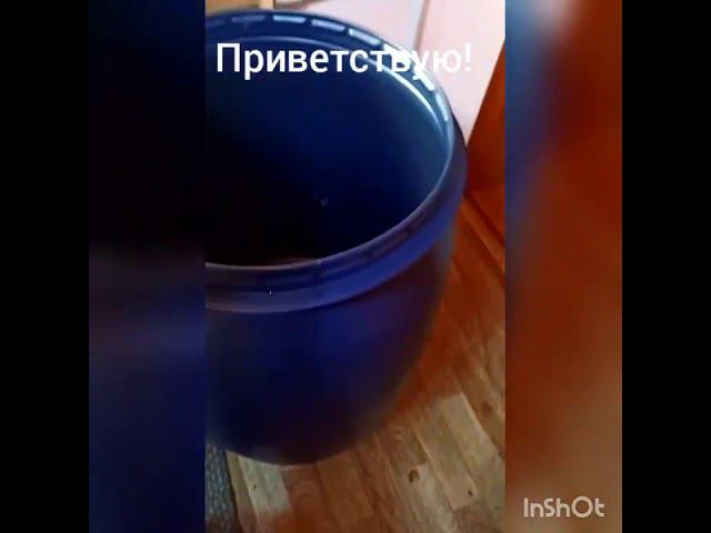 Соковыжималка "Нептун". Доработки.