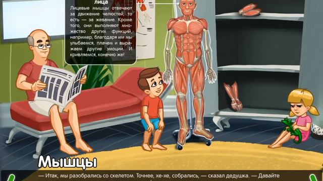 Развивашка для детей. Как устроен человек. Скелет