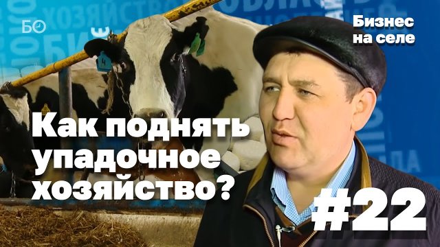 Бизнес на селе #22 | «Такая корова нужна самому!»