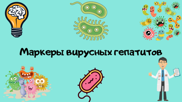 Вирусные гепатиты (лабораторная диагностика). Лекция для студента и практикующего врача.