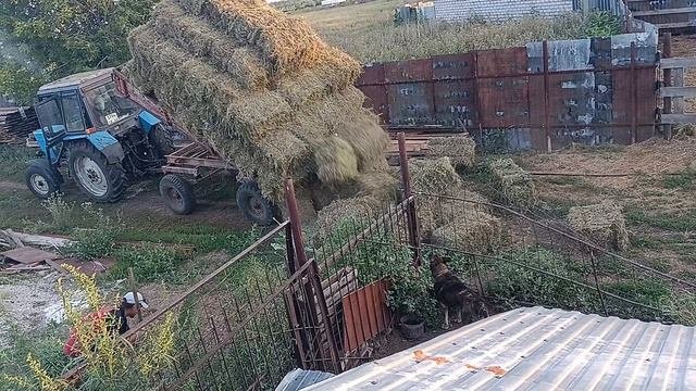 хозяйство
