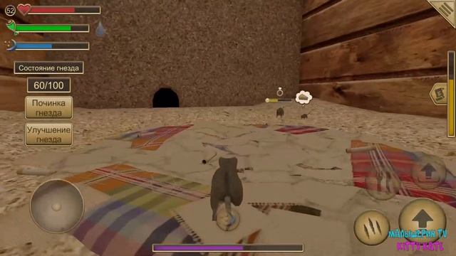 ?СИМУЛЯТОР МЫШИ?Починила дом Ухаживаю за питомцем