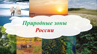 Природные зоны России. Окружающий мир.