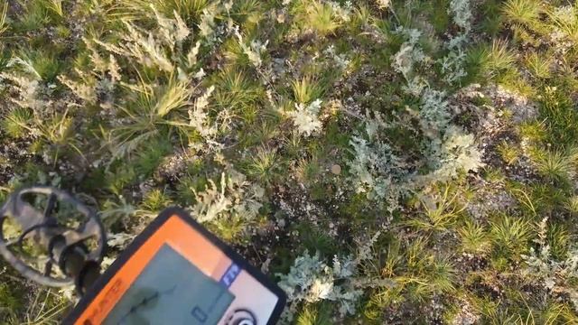 Инструкция! Металлоискатель Gold Hunter GoldForce F19