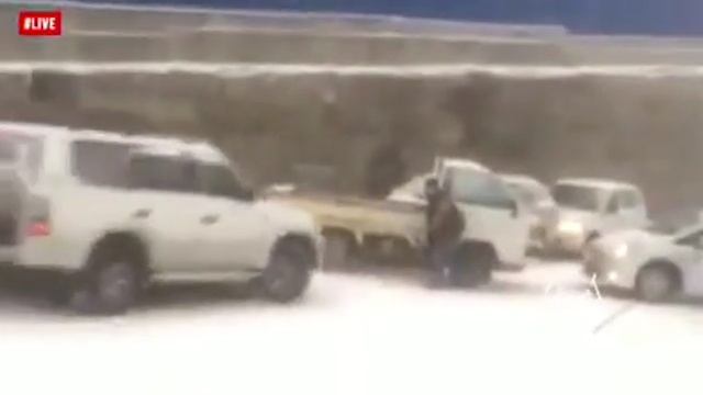 Мурзилки Live