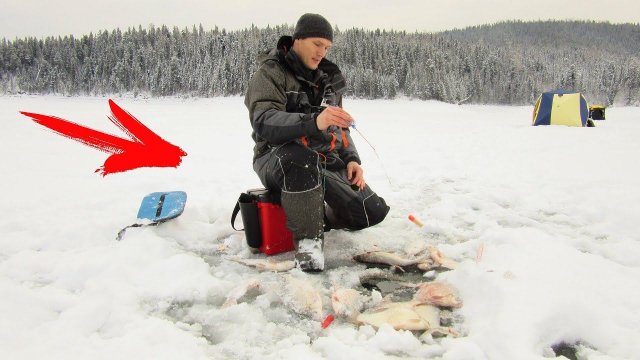 ВОТ ЭТО РЫБАЛКА ОТ ДУШИ! Зимняя рыбалка Ловля на безмотылку (чёртик) СИБИРИЯ