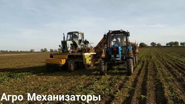 Уборка сахарной свеклы и камбаины РКС-6 и ВМ-6В и МТЗ 82.1?БУКСУЕТ?