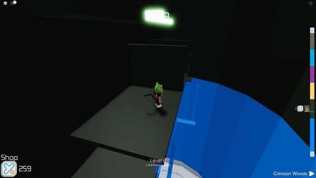 Адская башня с Вики шоу в роблокс | Tower of Hell roblox | @Viki Show PLAY   и RED CAT, кто пройдет