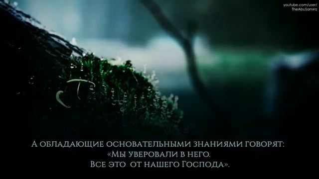 Абдурахман Масуд крсивое чтение Корана